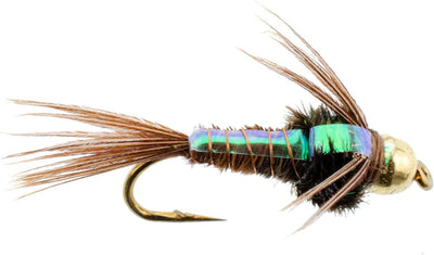 Bead Head Flash Back Pheasant Tail Nymph Fly Fishing Flies - Trout and Bass Wet Fly Pattern - 6 Flies Hook Size 12