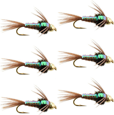 Bead Head Flash Back Pheasant Tail Nymph Fly Fishing Flies - Trout and Bass Wet Fly Pattern - 6 Flies Hook Size 12